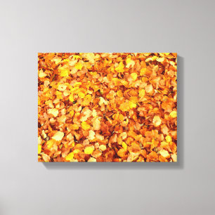 Autumn Leaves Canvas Print