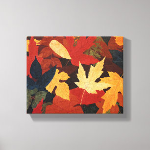 Autumn Leaves Canvas Print
