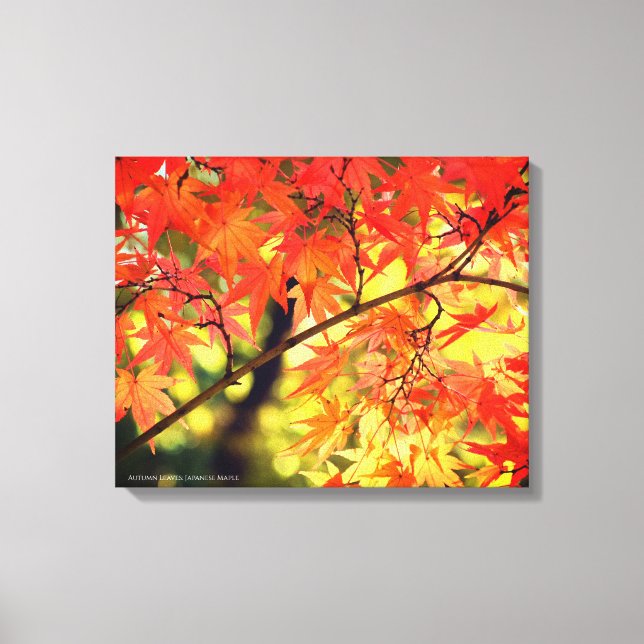 Autumn Leaves [Canvas Print] Canvas Print (Front)