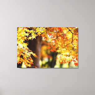 Autumn Leaves [Canvas Print] Canvas Print