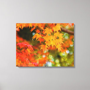 Autumn Leaves [Canvas Print] Canvas Print