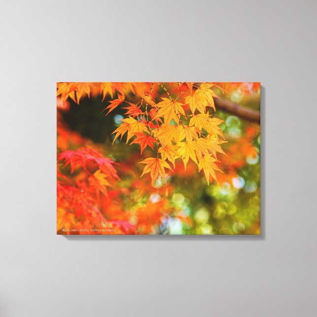 Autumn Leaves [Canvas Print] Canvas Print (Front)