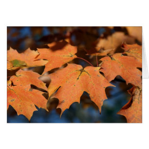 Autumn Leaves Card