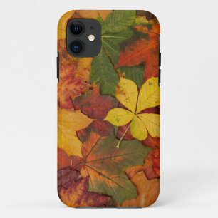 Autumn Leaves iPhone 11 Case