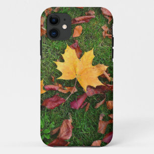 Autumn Leaves iPhone 11 Case