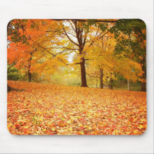 Autumn Leaves, Central Park, New York City Mouse Pad