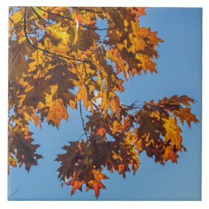 Autumn leaves ceramic photo tile