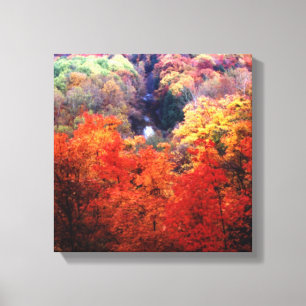 Autumn Leaves Changing Colour Canvas Print