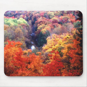 Autumn Leaves Changing Colour Mouse Pad