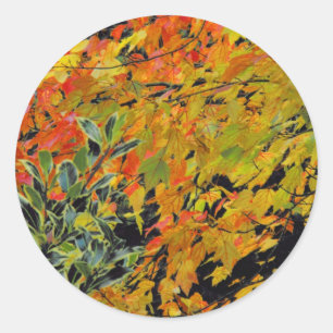 Autumn Leaves Classic Round Sticker