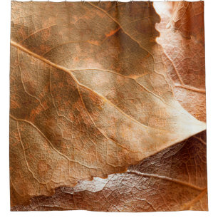 Autumn leaves closeupabstract,autumn,background,br