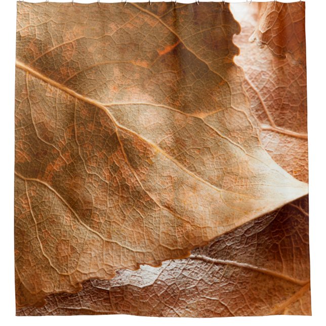 Autumn leaves closeupabstract,autumn,background,br (Front)