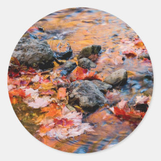 autumn leaves colour classic round sticker