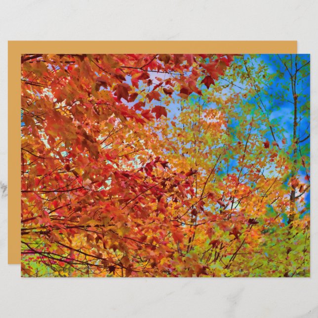 Autumn Leaves Colourful Orange Fall Themed Blue Sk (Front/Back)