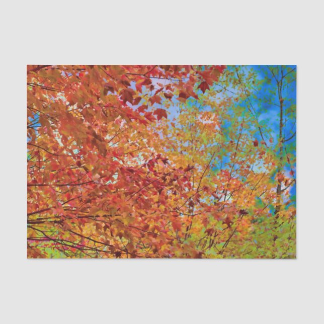 Autumn Leaves Colourful Orange Fall Themed Blue Sk Tissue Paper (Front)