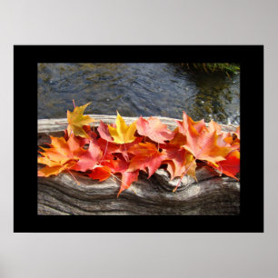 Autumn Leaves Fall art prints gift River Driftwood