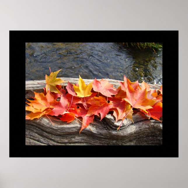 Autumn Leaves Fall art prints gift River Driftwood (Front)