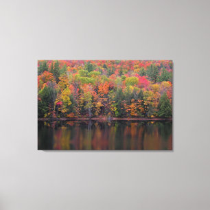 Autumn Leaves Fall Color Scene Canvas Print