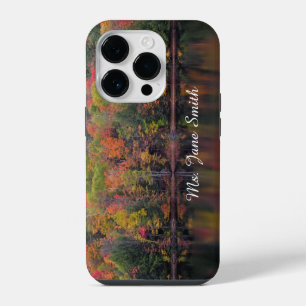 Autumn Leaves Fall Colour Cell Phone Case