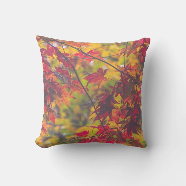 Autumn Leaves Fall Colour Outdoor Pillow (Front)