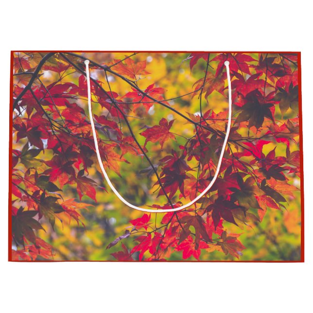 Autumn Leaves Fall Colour Red Nature Large Gift Bag (Front)