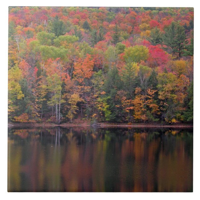 Autumn Leaves Fall Colour Scene Ceramic Tile (Front)