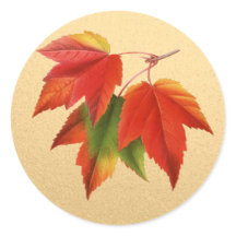 Autumn Leaves Fall Colours Maple Leaf on Gold