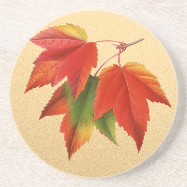 Autumn Leaves Fall Colours Maple Leaf on Gold Coaster (Front)