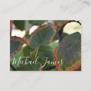 Autumn Leaves Fall Foliage Nature Photography Tree Business Card