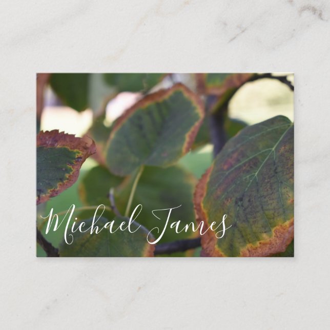 Autumn Leaves Fall Foliage Nature Photography Tree Business Card (Front)