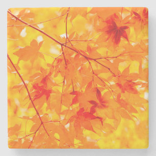 Autumn Leaves Fall Nature Orange Stone Coaster