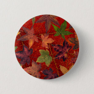 Autumn Leaves Fall Season Tree Leaf Colourful 2 Inch Round Button