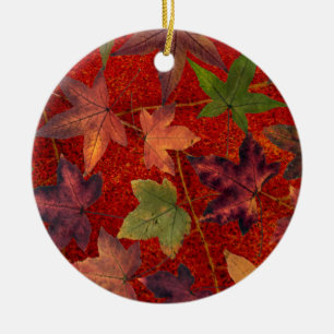 Autumn Leaves Fall Season Tree Leaf Colourful Ceramic Ornament