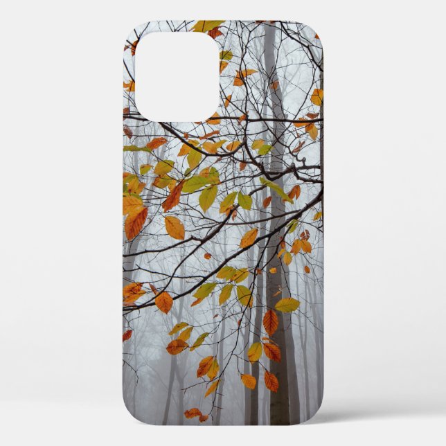 Autumn leaves fallen forest leaf Case-Mate iPhone case (Back)