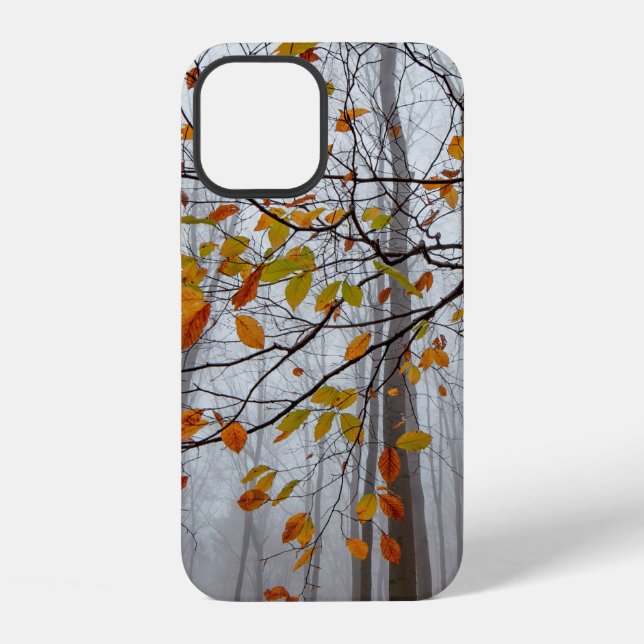 Autumn leaves fallen forest leaf iPhone case (Back)
