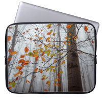 Autumn leaves fallen forest leaf