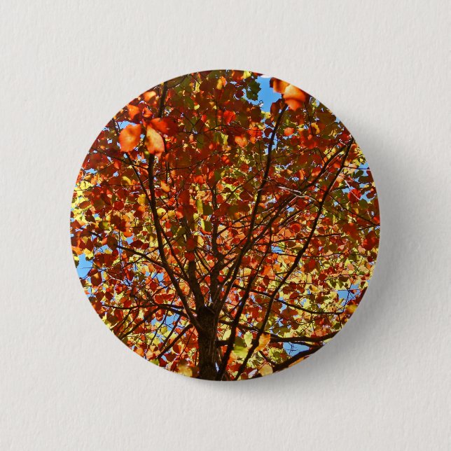 Autumn Leaves Fireworks 2 Inch Round Button (Front)