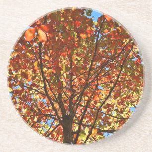 Autumn Leaves Fireworks Coaster