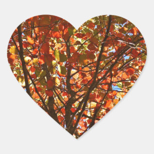 Autumn Leaves Fireworks Heart Sticker