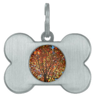 Autumn Leaves Fireworks Pet ID Tag