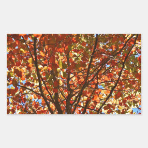Autumn Leaves Fireworks Sticker