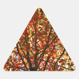 Autumn Leaves Fireworks Triangle Sticker