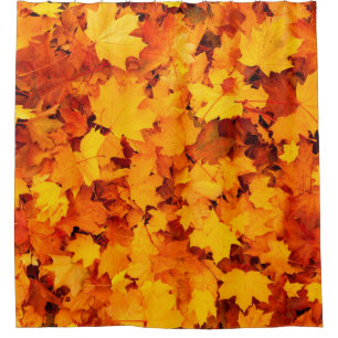 Autumn leaves foliage autumn leaves