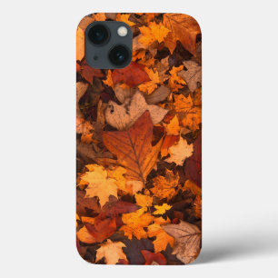 autumn, leaves, foliage iPhone 13 case