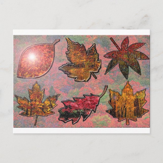 Autumn Leaves Foliage Postcard (Front)