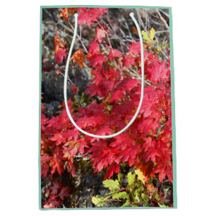Autumn Leaves Gift Bag