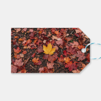 Autumn leaves gift tags