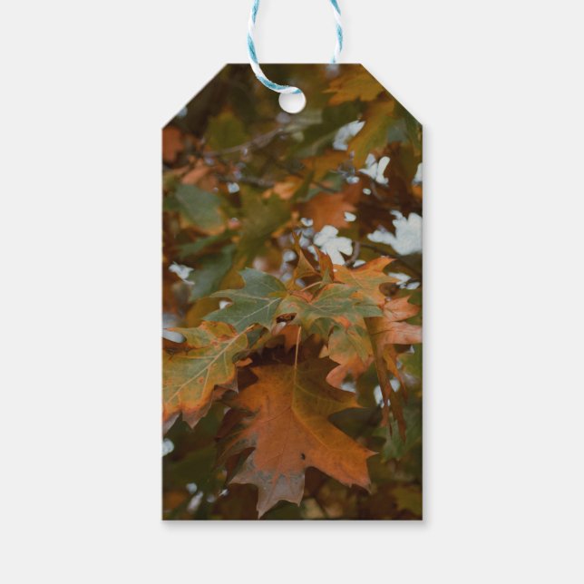 Autumn leaves gift tags (Front)