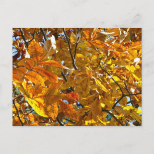 Autumn Leaves Gold Gifts Apparel Collectibles Postcard