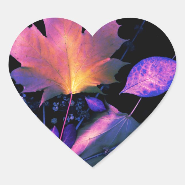 Autumn Leaves in Neon Heart Sticker (Front)